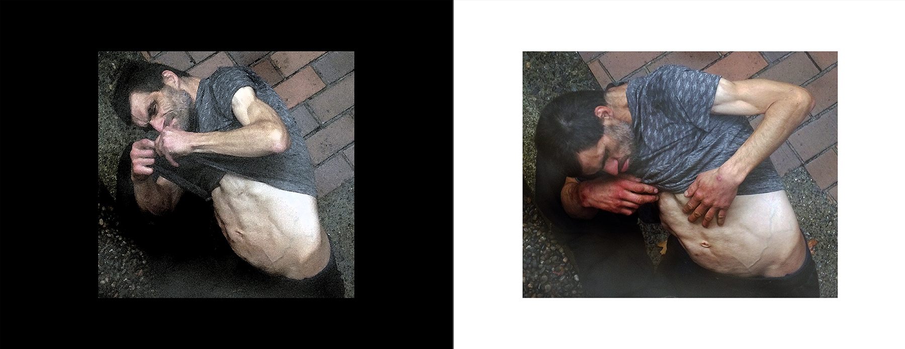 the portfolio collection