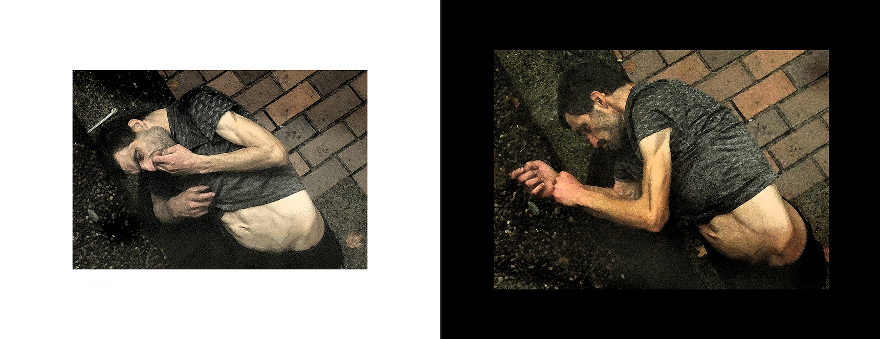 the portfolio collection