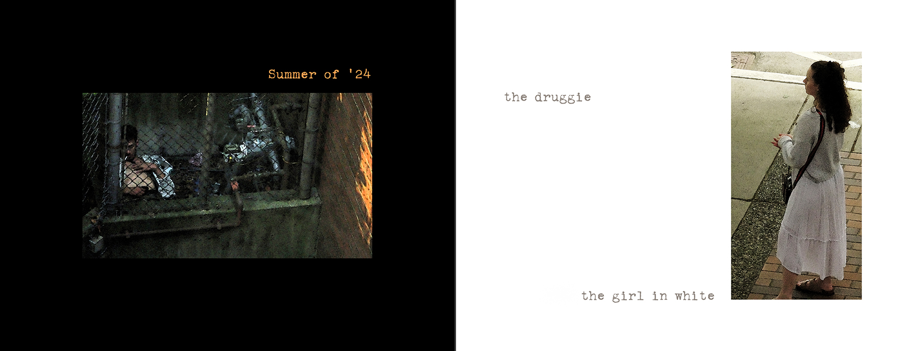 the portfolio collection