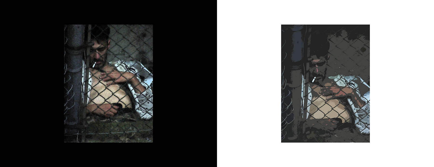 the portfolio collection