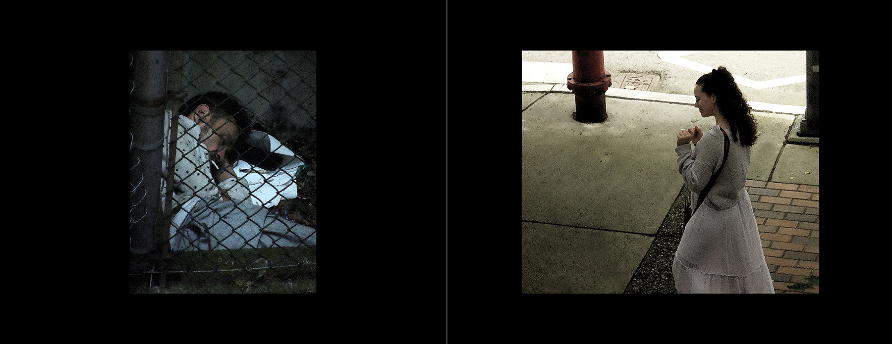 the portfolio collection