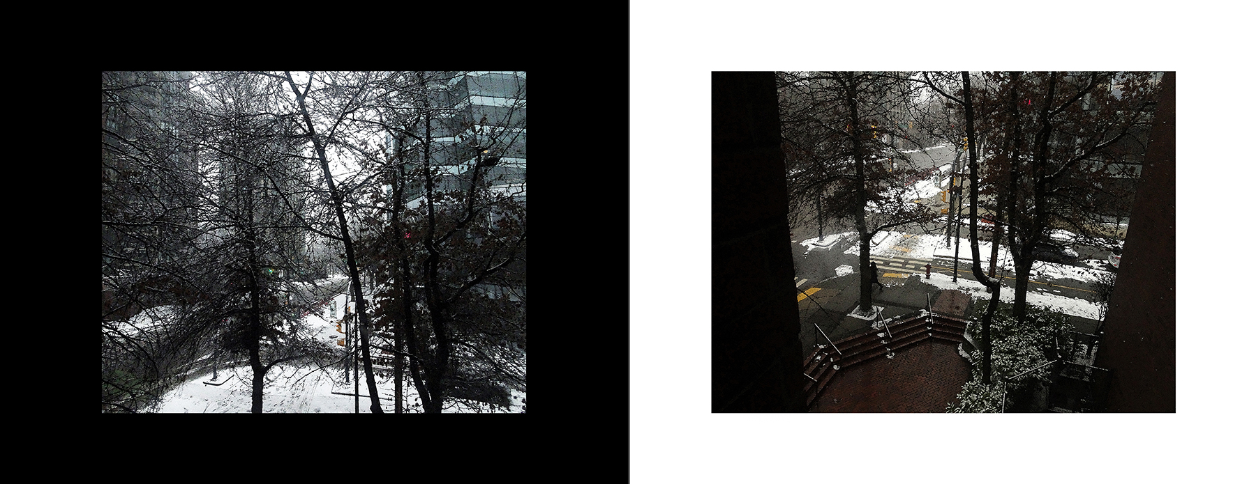 the portfolio collection