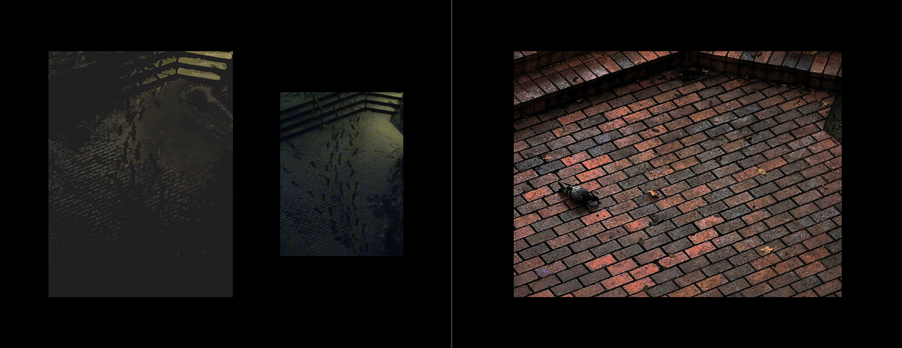 the portfolio collection