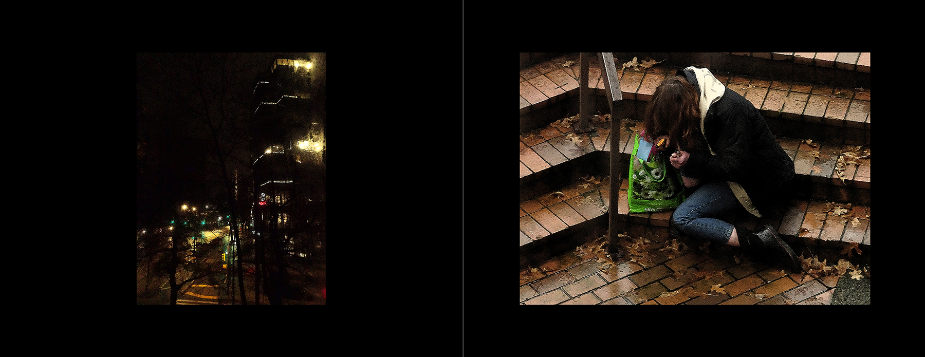 the portfolio collection