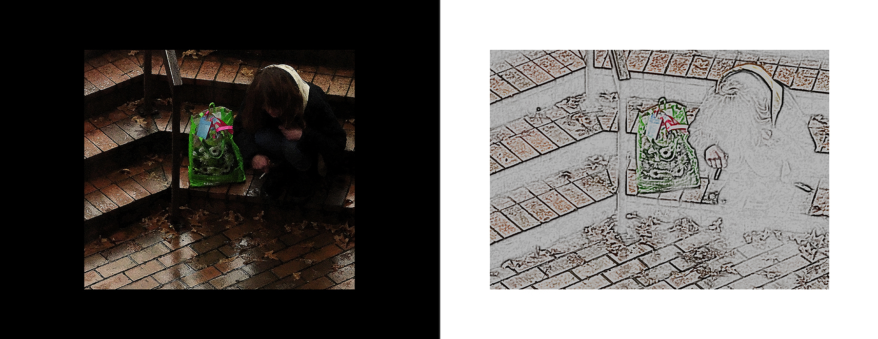 the portfolio collection