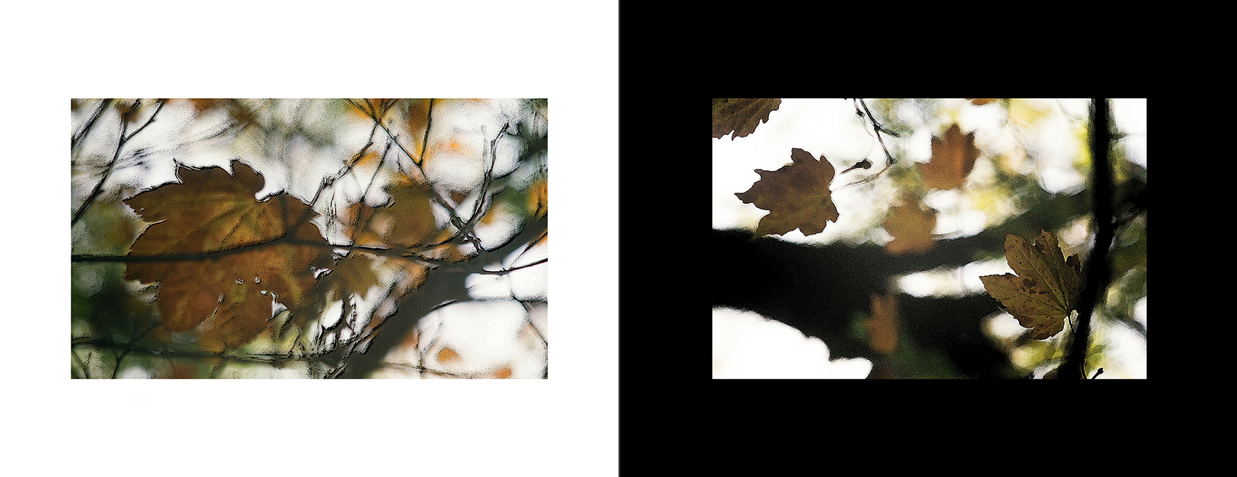 images from print files