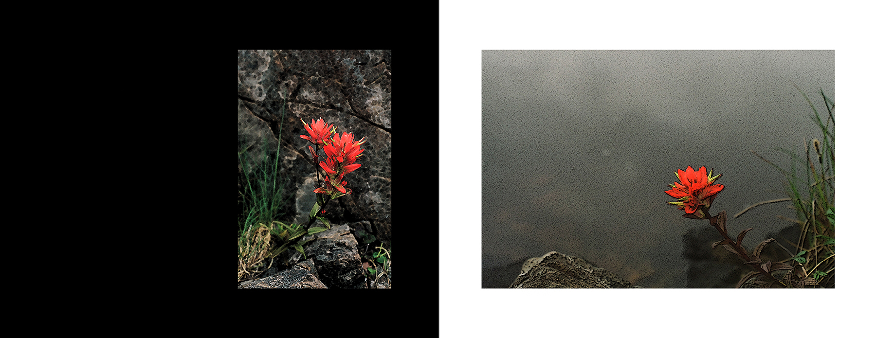 images from print files