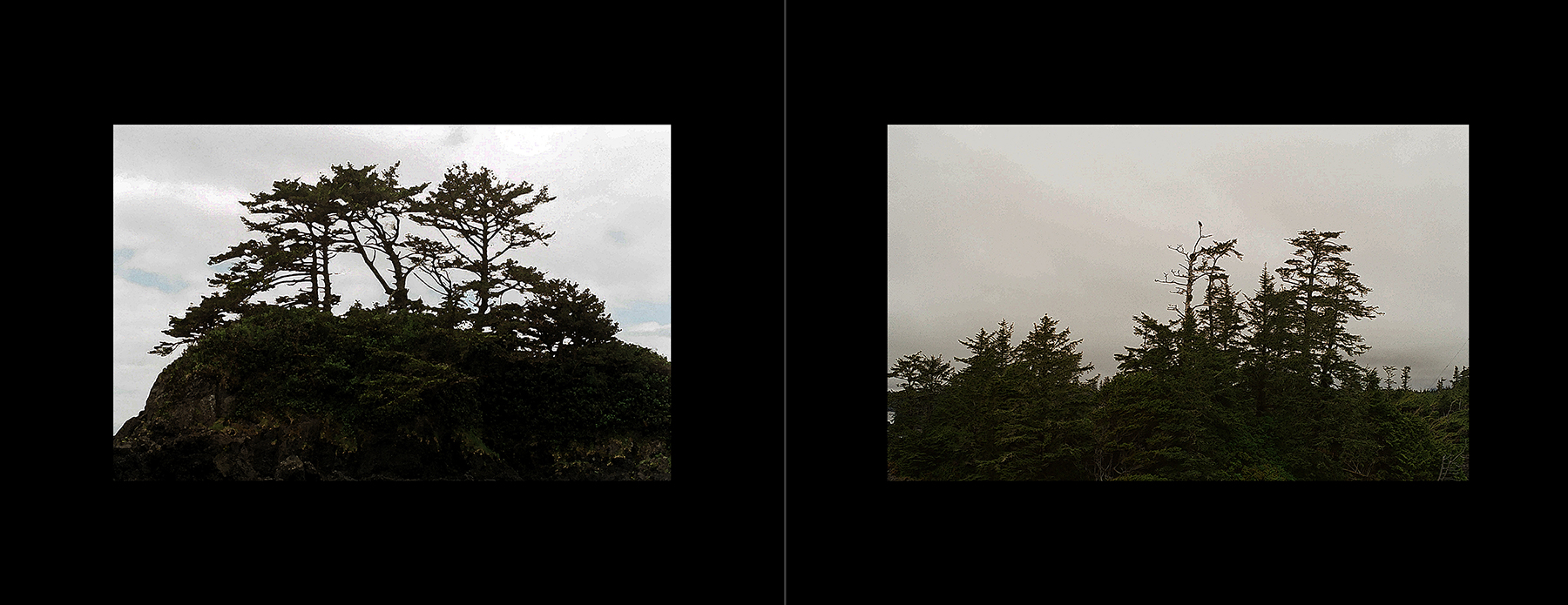 images from print files