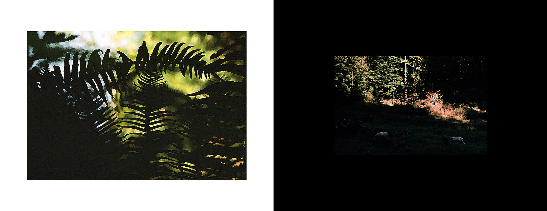 images from print files