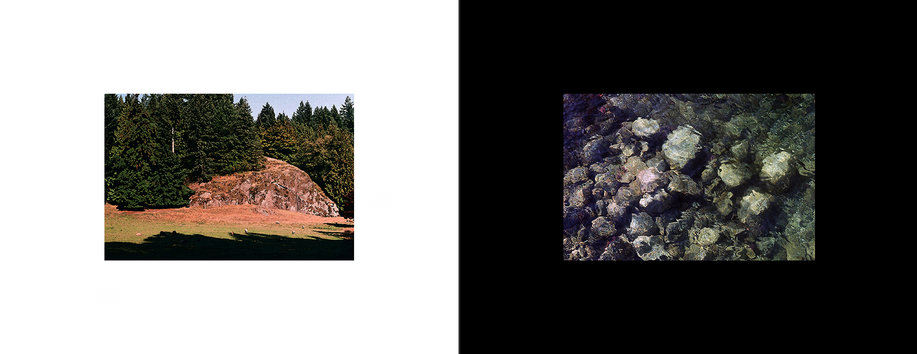 images from print files