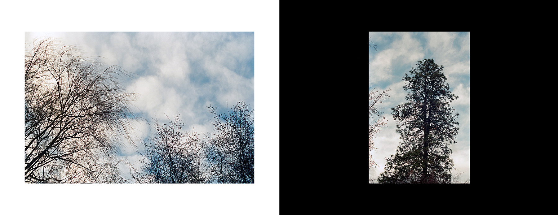 images from print files