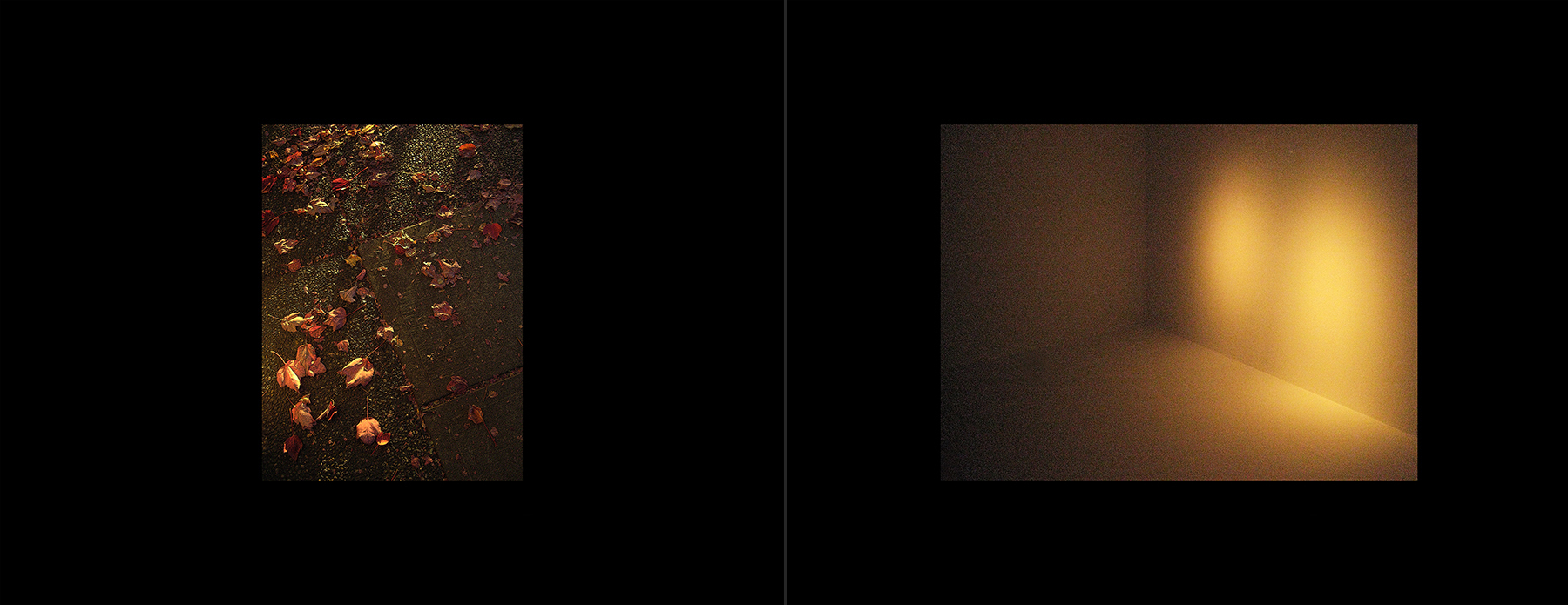 photos of the Vancouver 2012