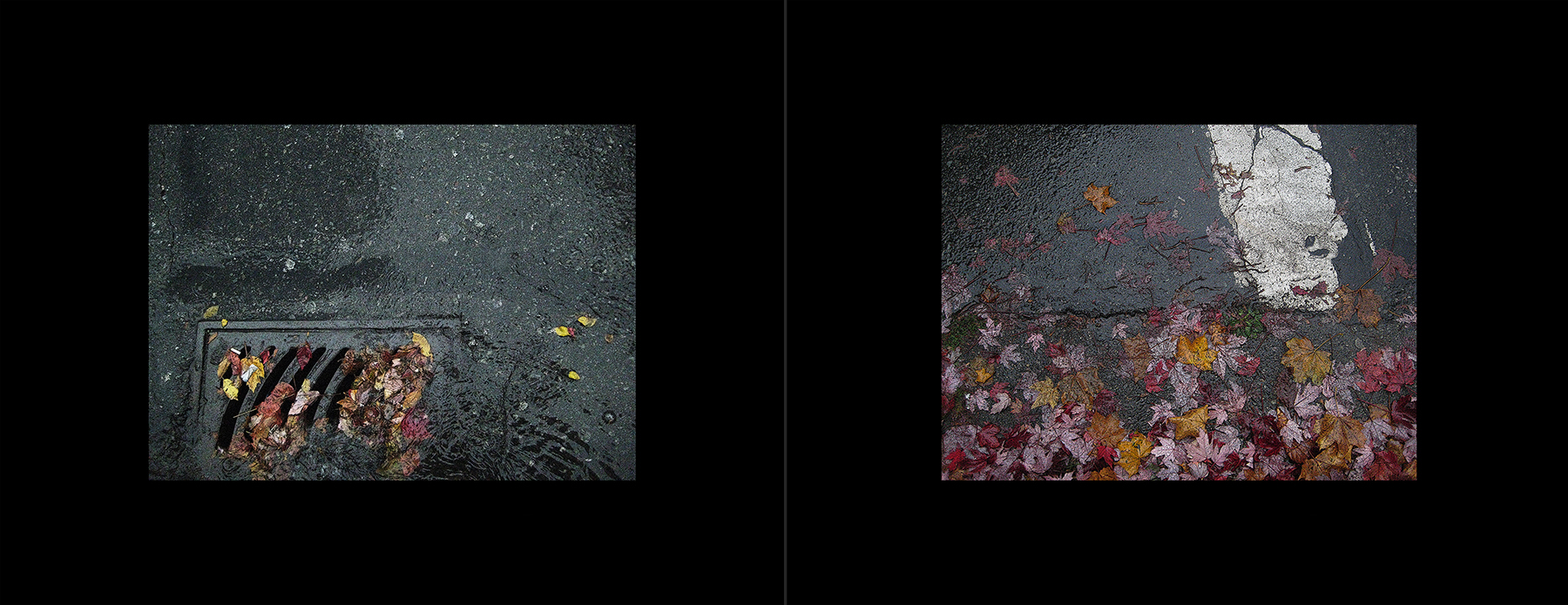 photos of the Vancouver 2012