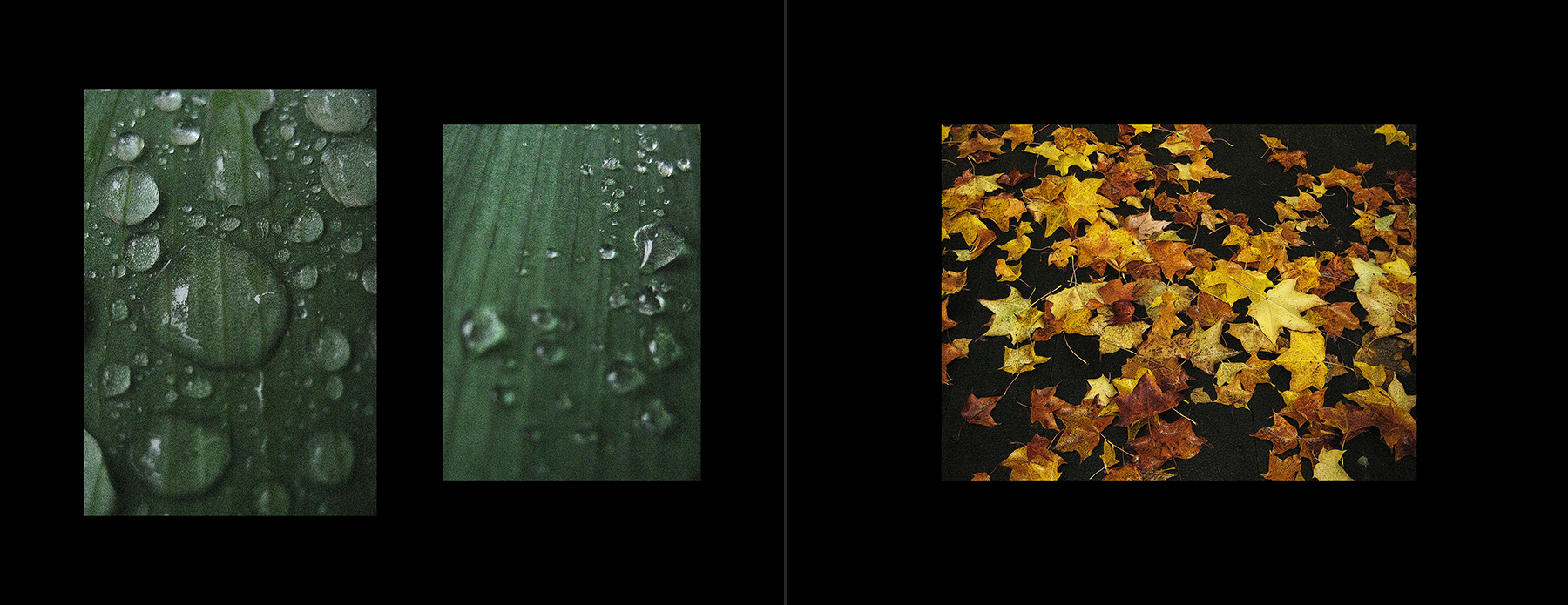 photos of the Vancouver 2012