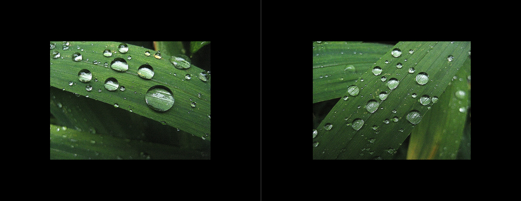 photos of the Vancouver 2012