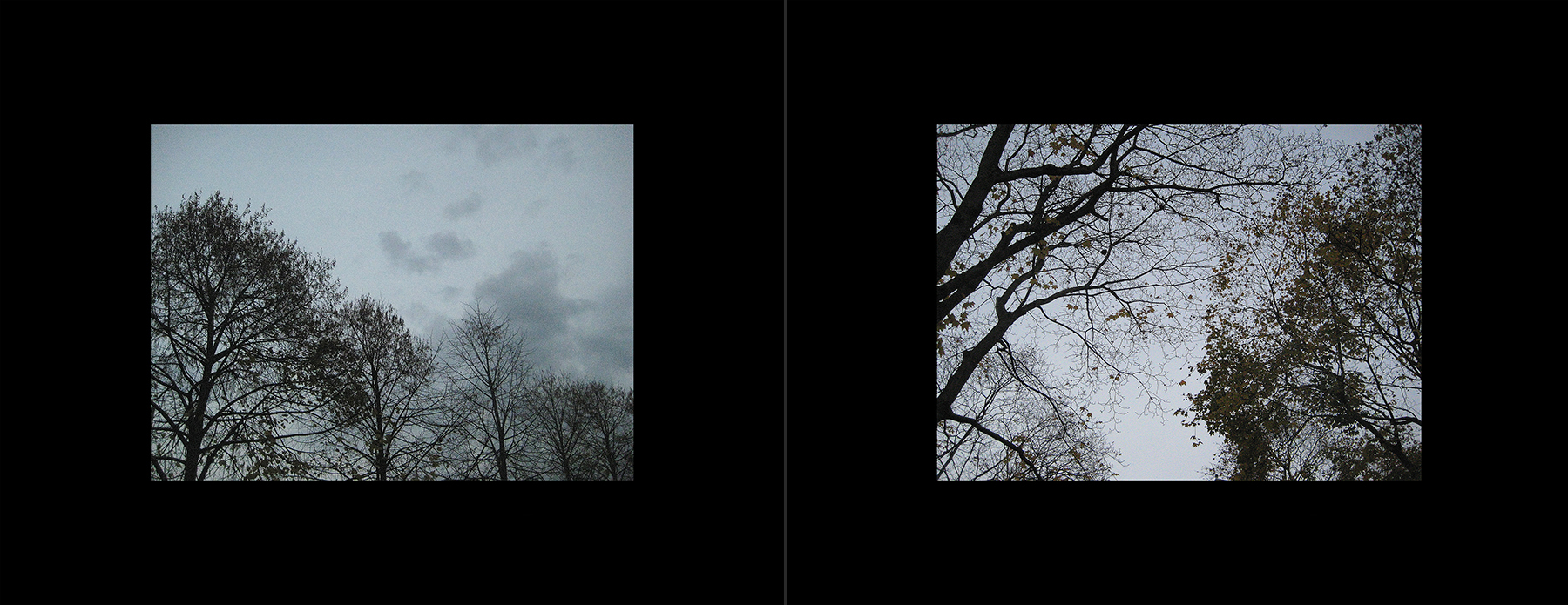 photos of the Vancouver 2012