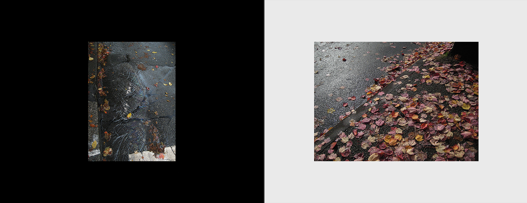 photos of the Vancouver 2012