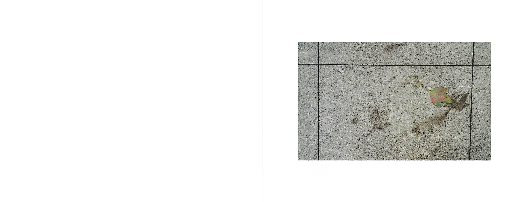 photos of the Vancouver