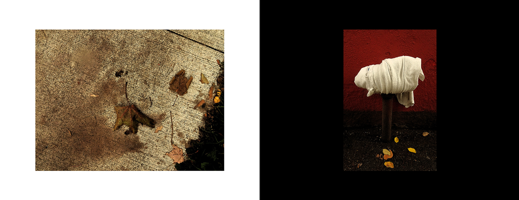 photos of the Vancouver