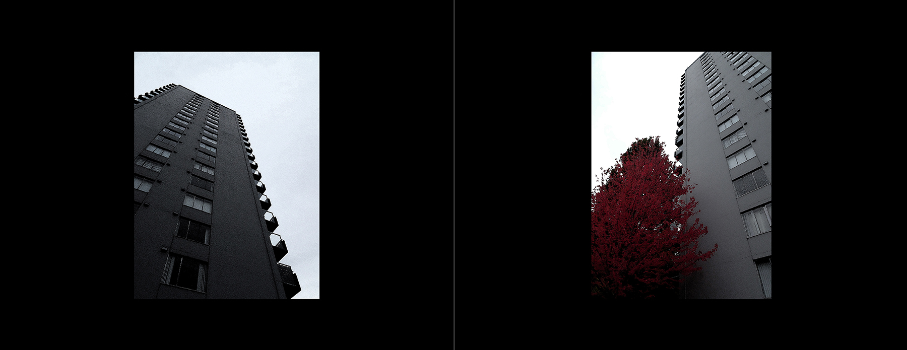 photos of the Vancouver