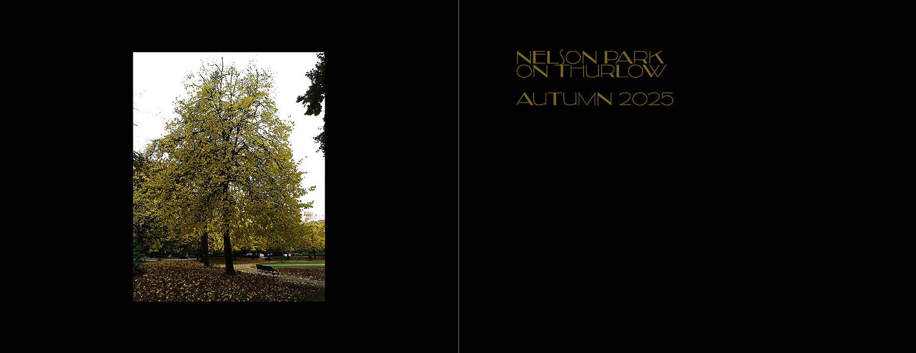 photos of the Vancouver