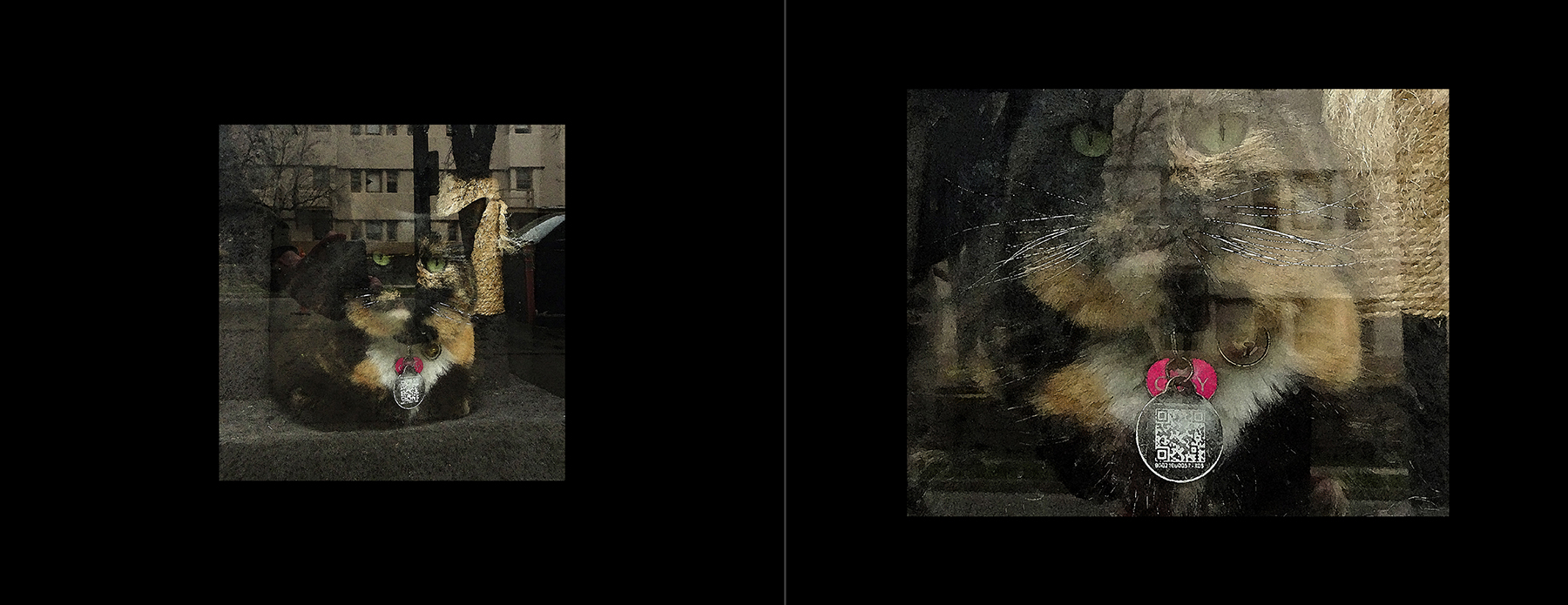 photos of the Vancouver