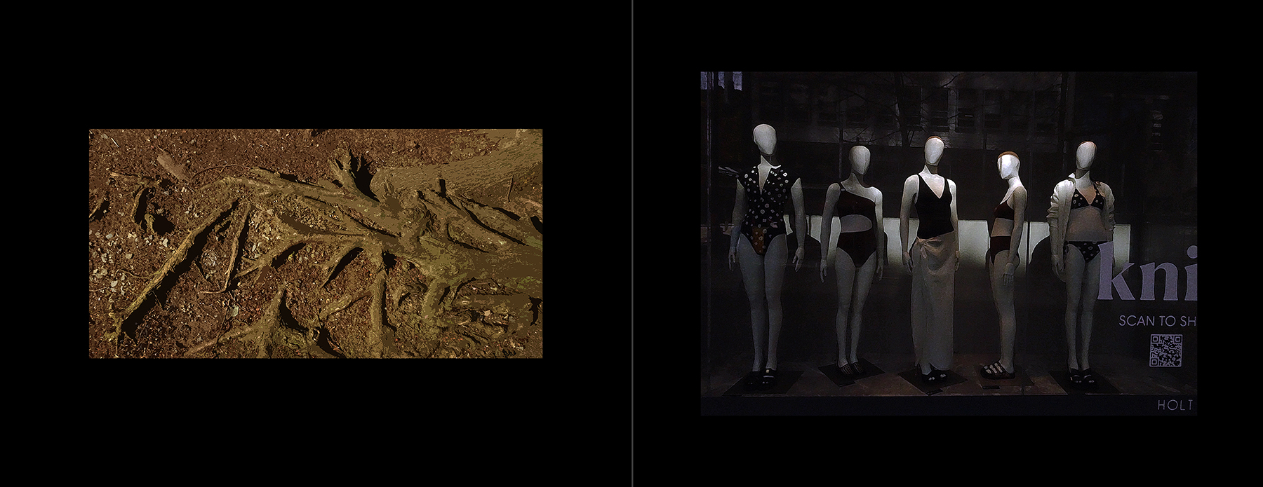 photos of the Vancouver