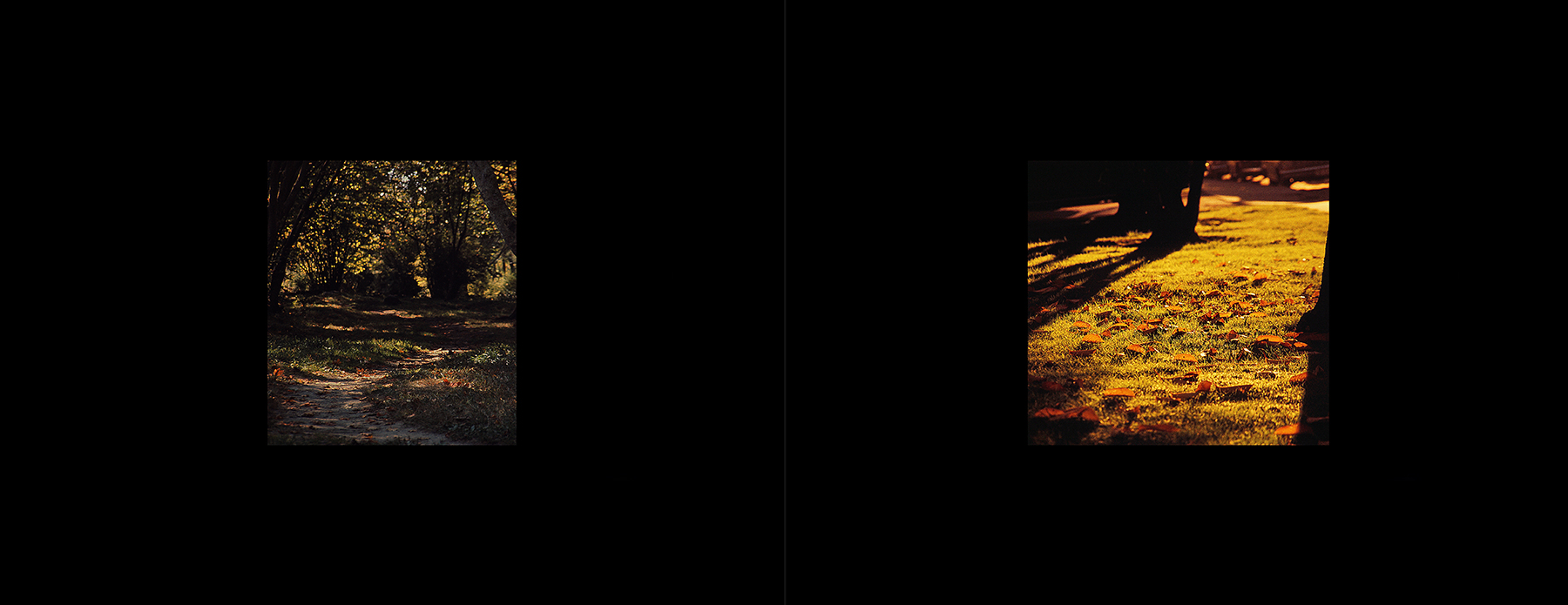 photos from Showers of Midnight Stardust [73]