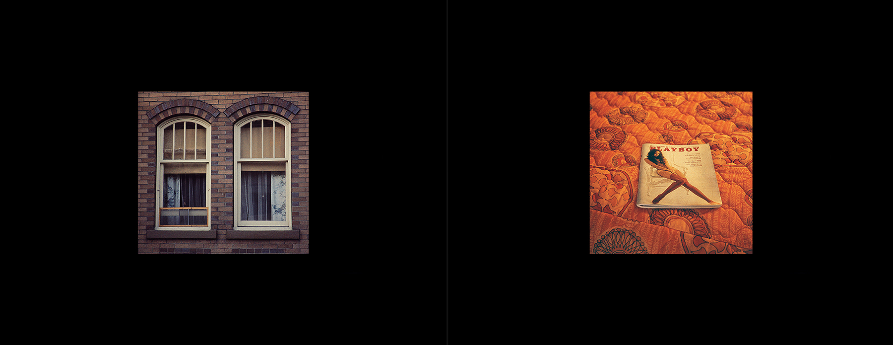 photos from Showers of Midnight Stardust [73]