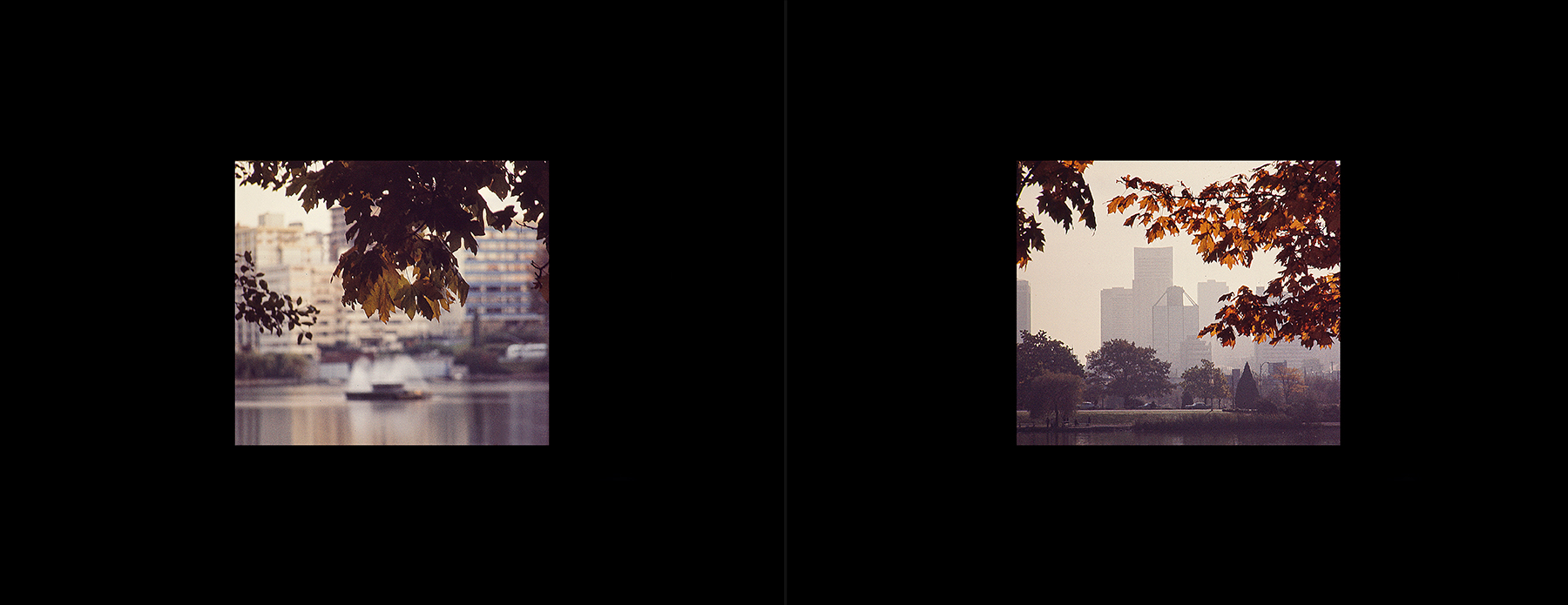 photos from Showers of Midnight Stardust [73]