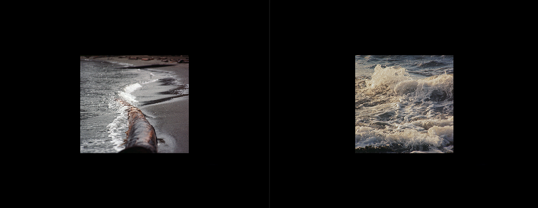 photos from Showers of Midnight Stardust [73]