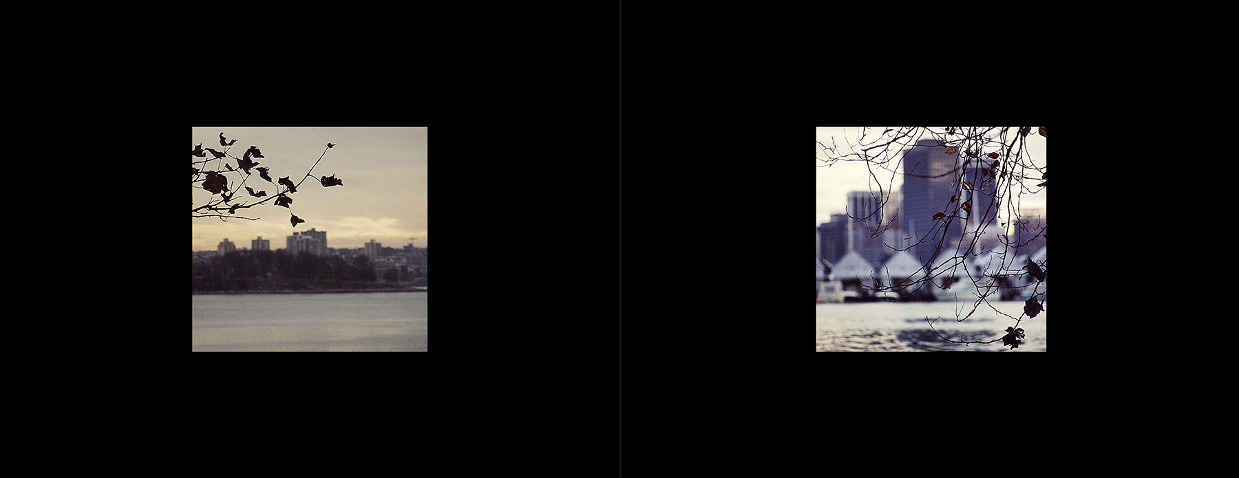 photos from Showers of Midnight Stardust [73]