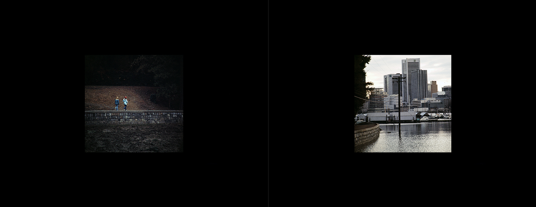 photos from Showers of Midnight Stardust [73]