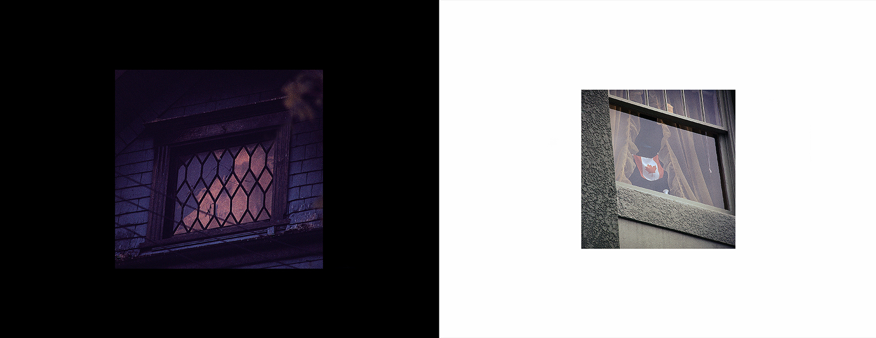 photos from Showers of Midnight Stardust [74]