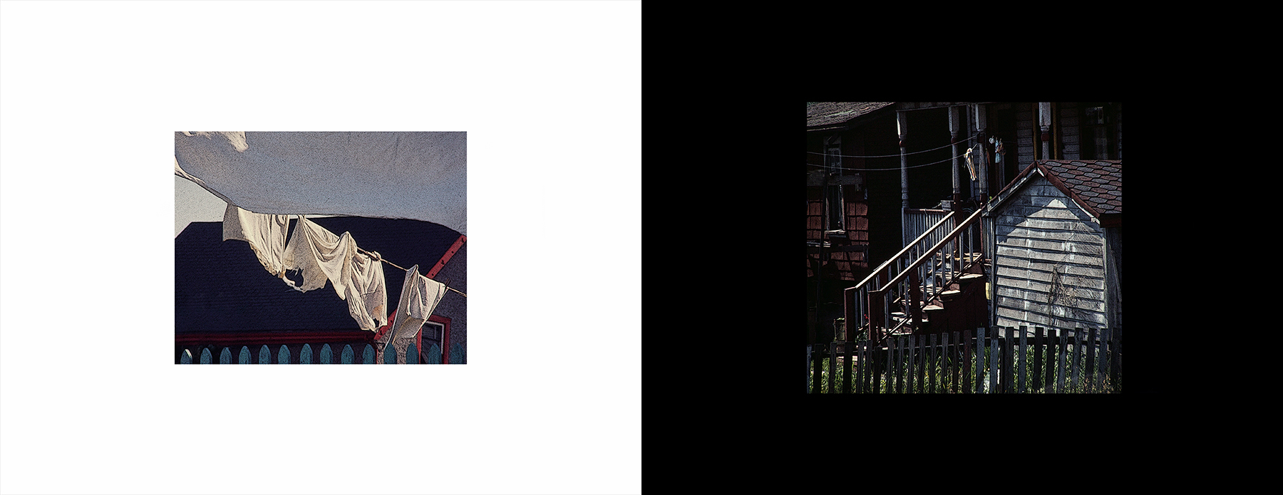 photos from Showers of Midnight Stardust [74]