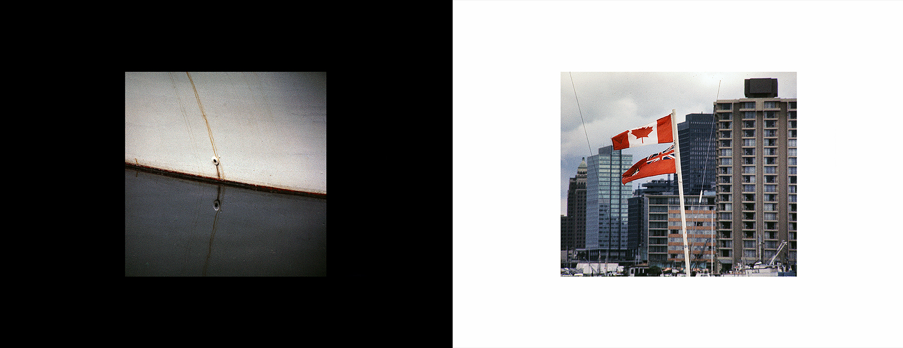 photos from Showers of Midnight Stardust [74]