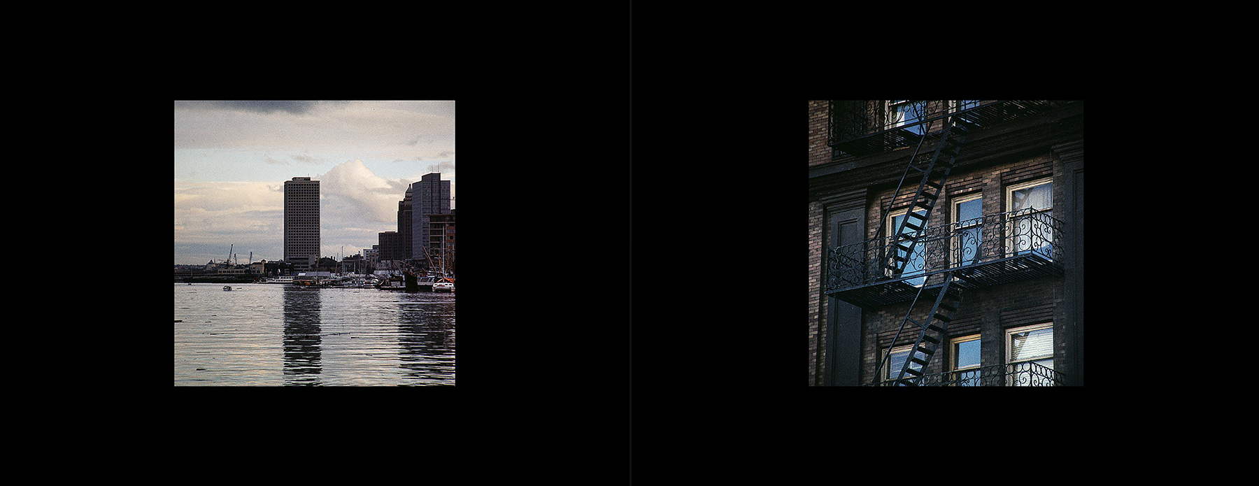 photos from Showers of Midnight Stardust [74]