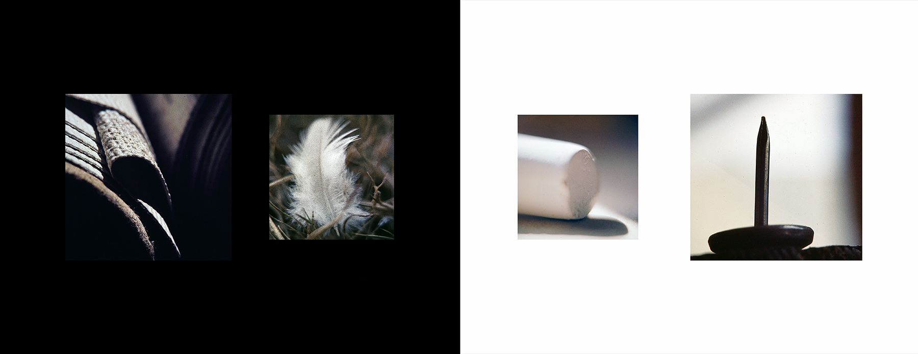 photos from Showers of Midnight Stardust [74]