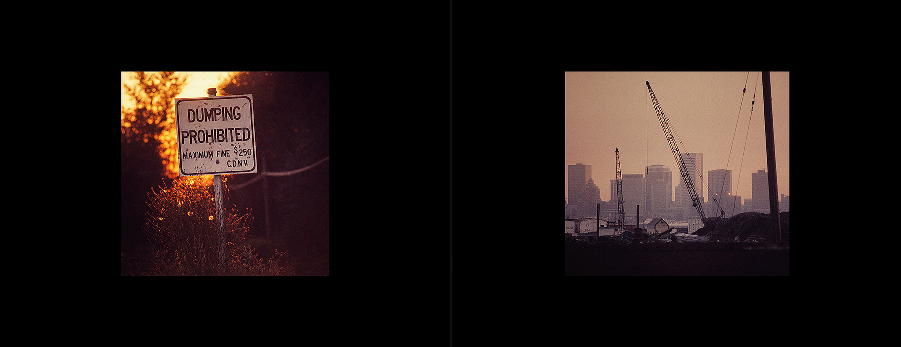 photos from Showers of Midnight Stardust [74]