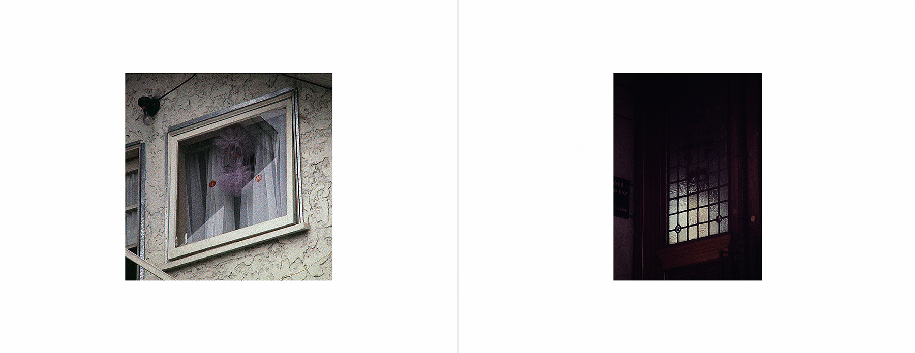 photos from Showers of Midnight Stardust [75]