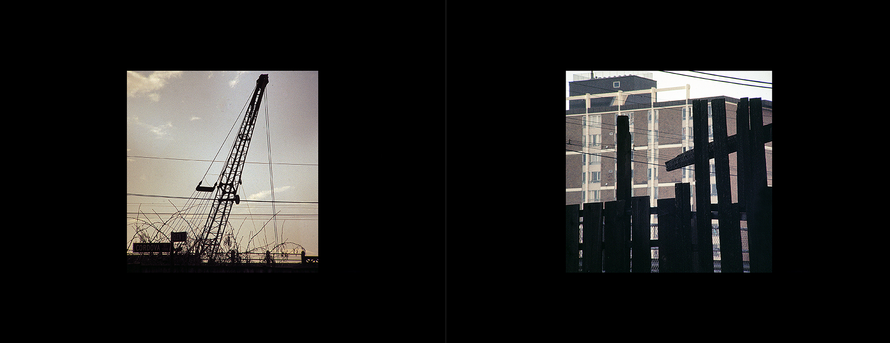 photos from Showers of Midnight Stardust [75]