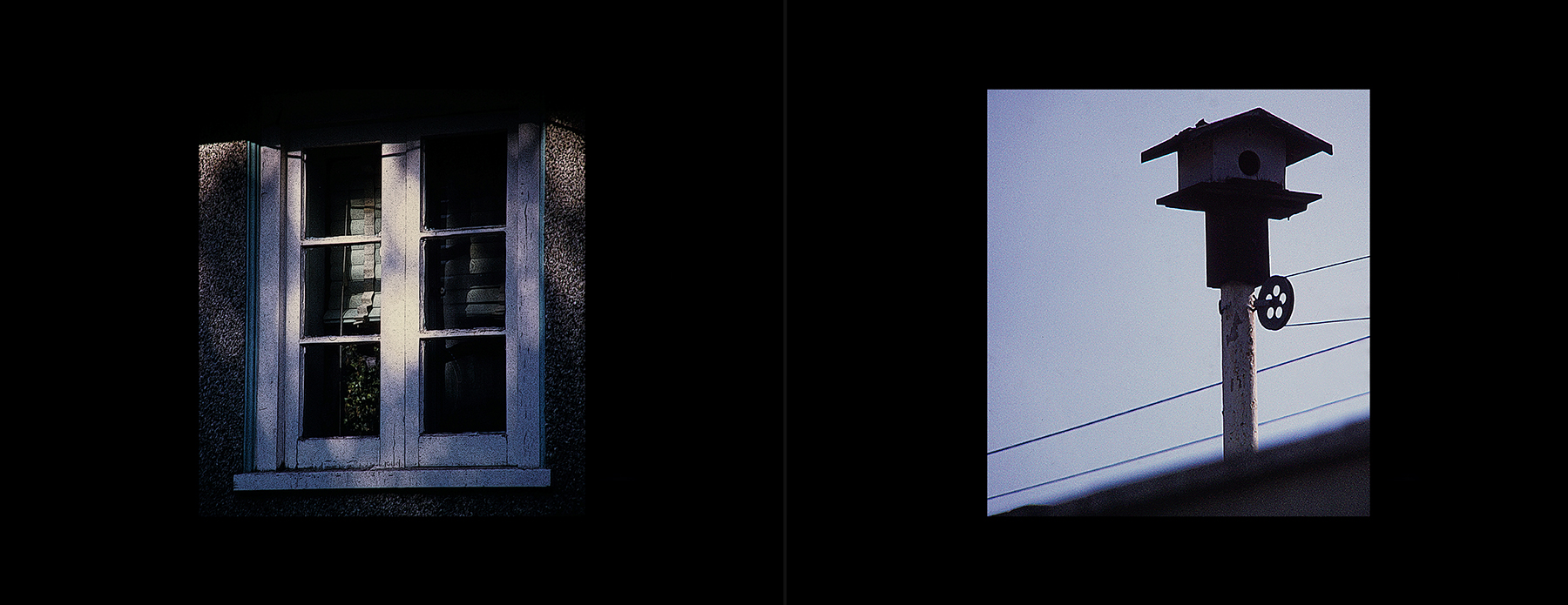 photos from Showers of Midnight Stardust [75]