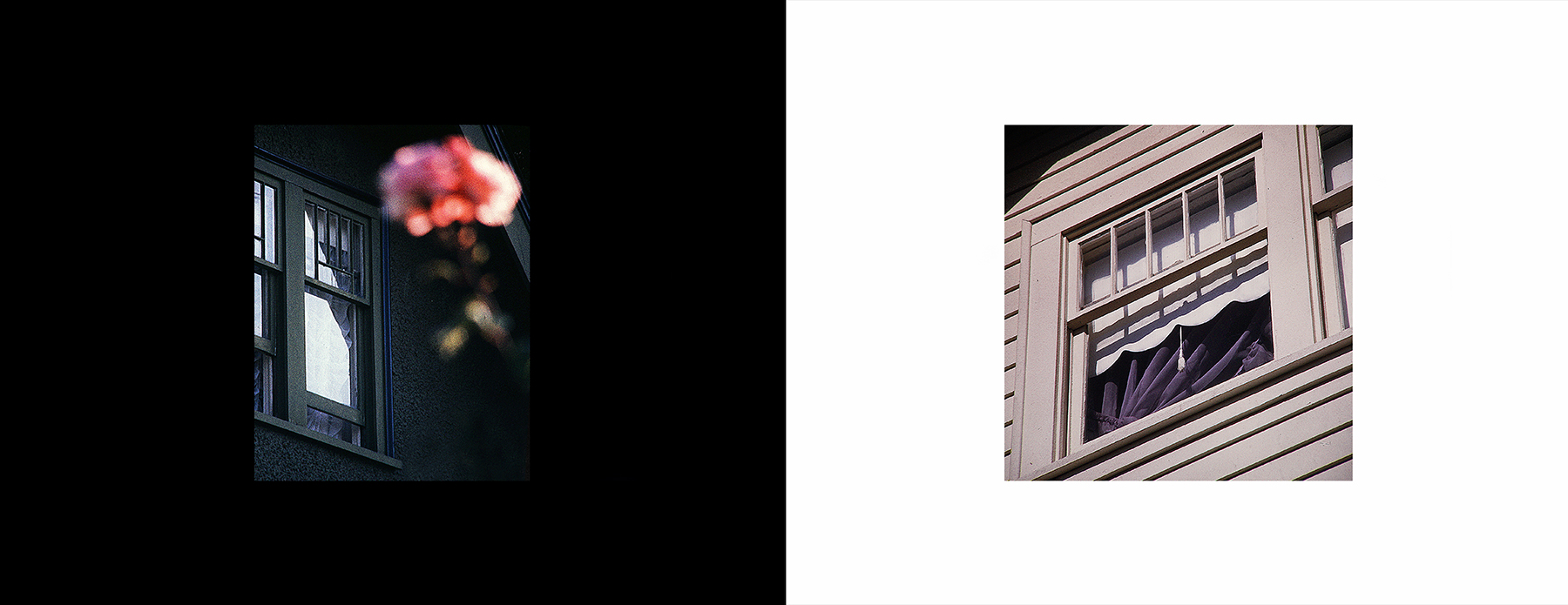 photos from Showers of Midnight Stardust [75]