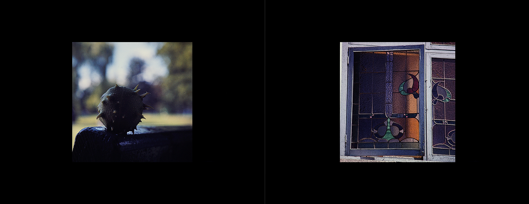 photos from Showers of Midnight Stardust [75]