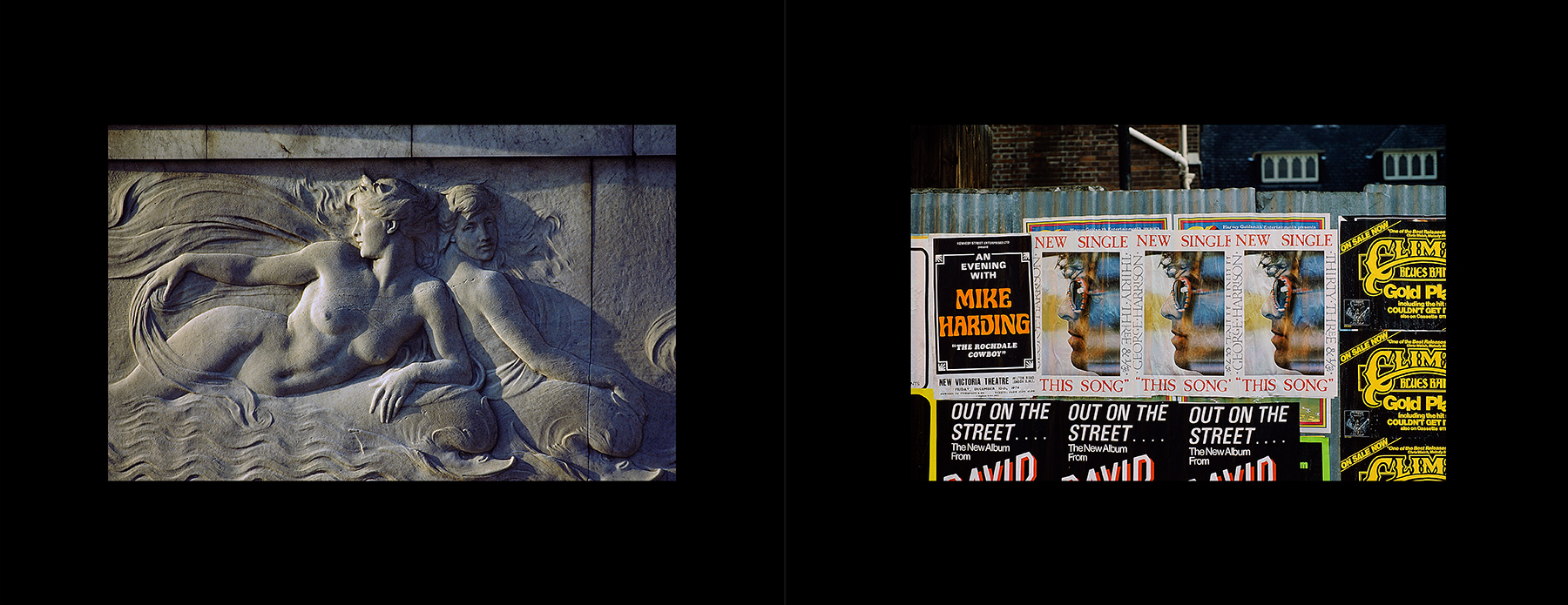 photos from Showers of Midnight Stardust [76]