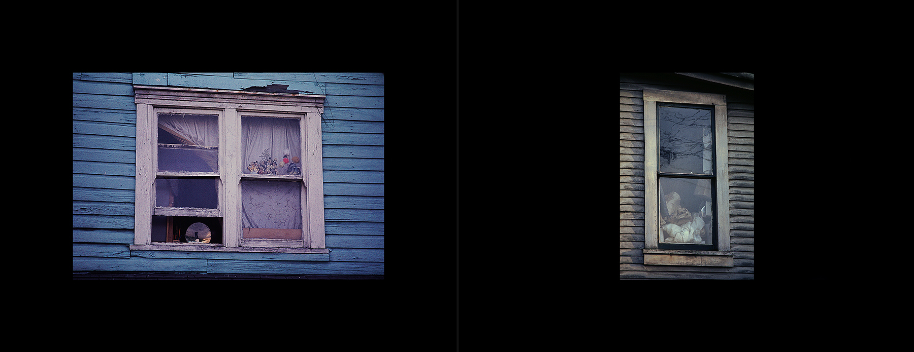 photos from Showers of Midnight Stardust [76]