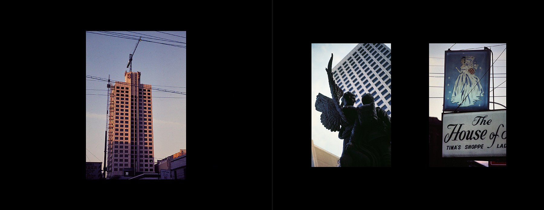 photos from Showers of Midnight Stardust [76]