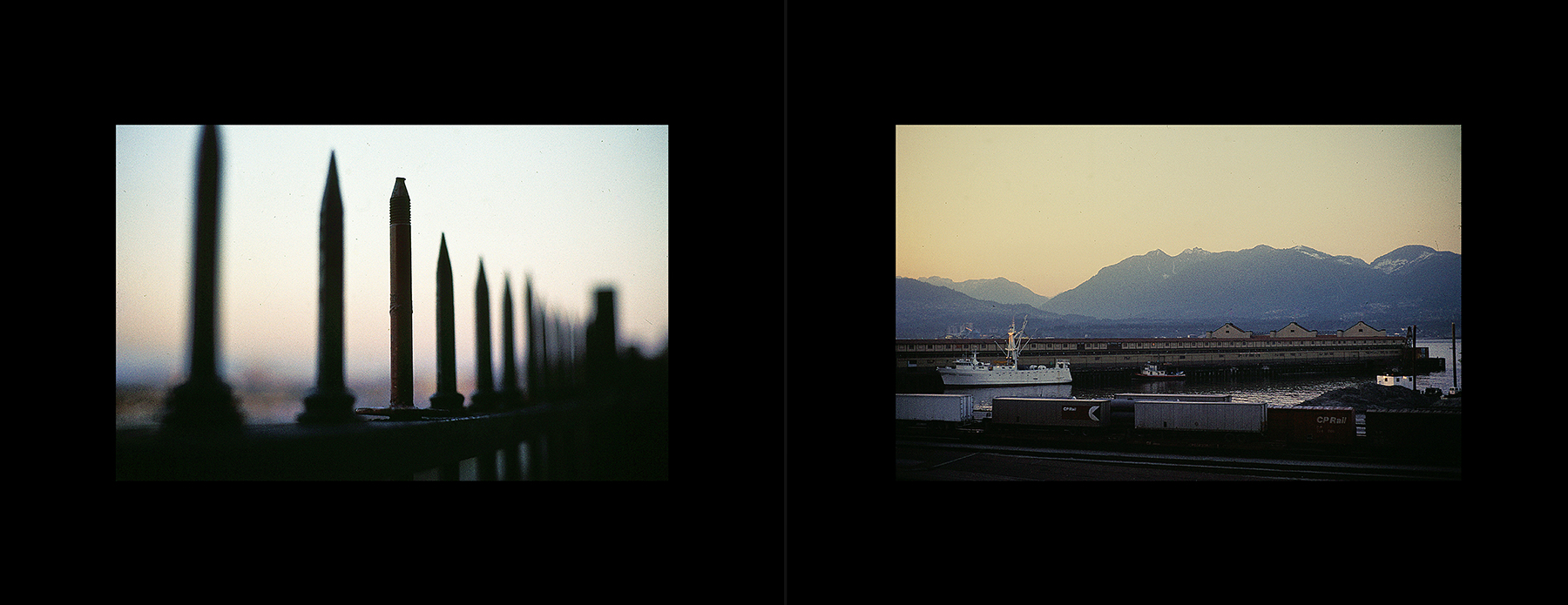 photos from Showers of Midnight Stardust [76]