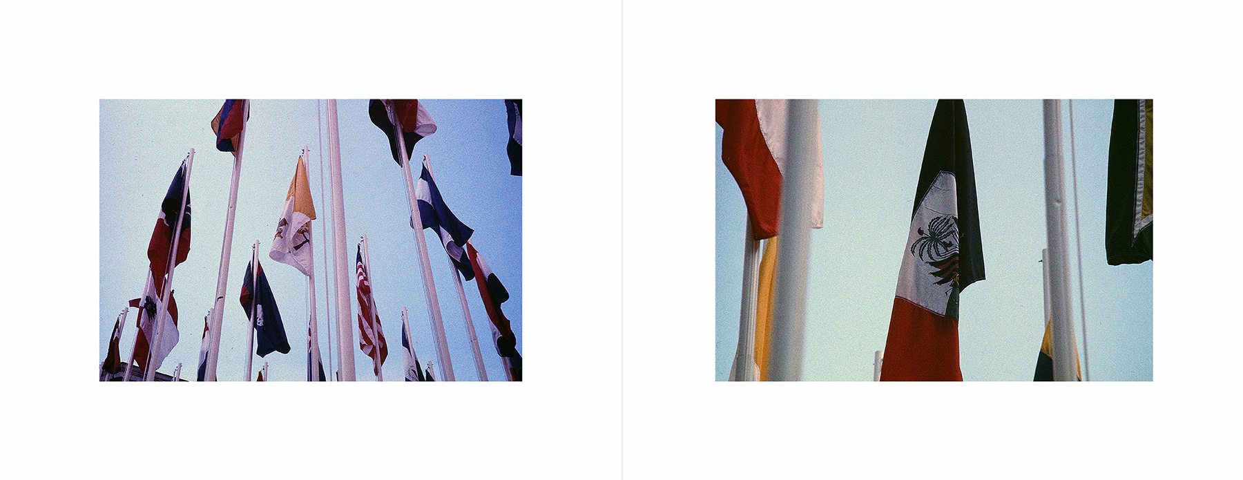 photos from Showers of Midnight Stardust [76]