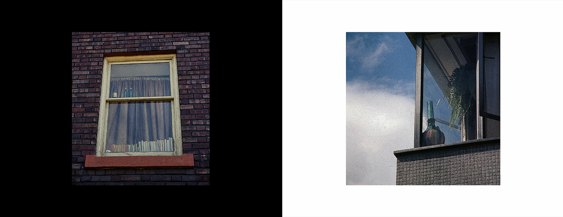 photos from Showers of Midnight Stardust [76]